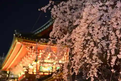 神田神社（神田明神）(東京都)