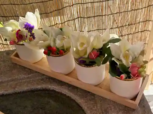 徳島眉山天神社(徳島県)