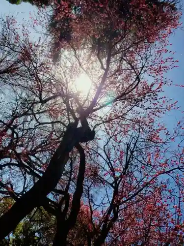 田端神社(東京都)