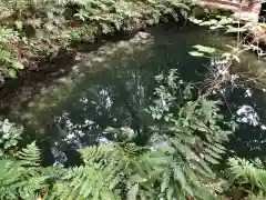 八重垣神社(島根県)