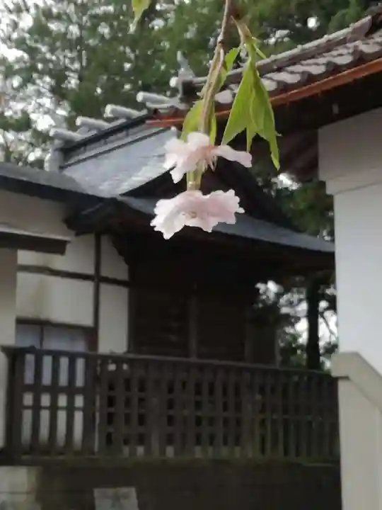 花巻神社の自然