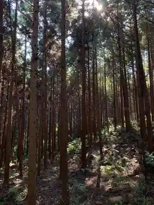 大杉神社の周辺