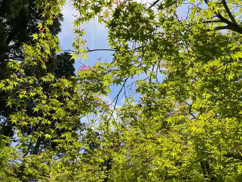 酬恩庵一休寺(京都府)
