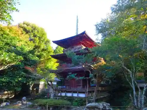 清滝寺徳源院(滋賀県)