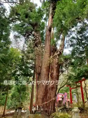 磐椅神社(福島県)