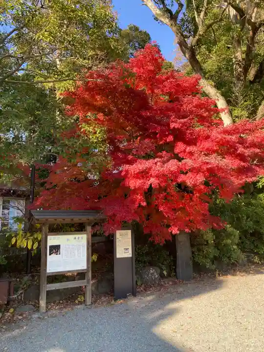 鎌倉宮(神奈川県)