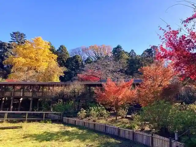本土寺(千葉県)