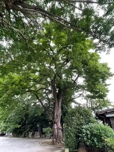最勝寺教学院の自然
