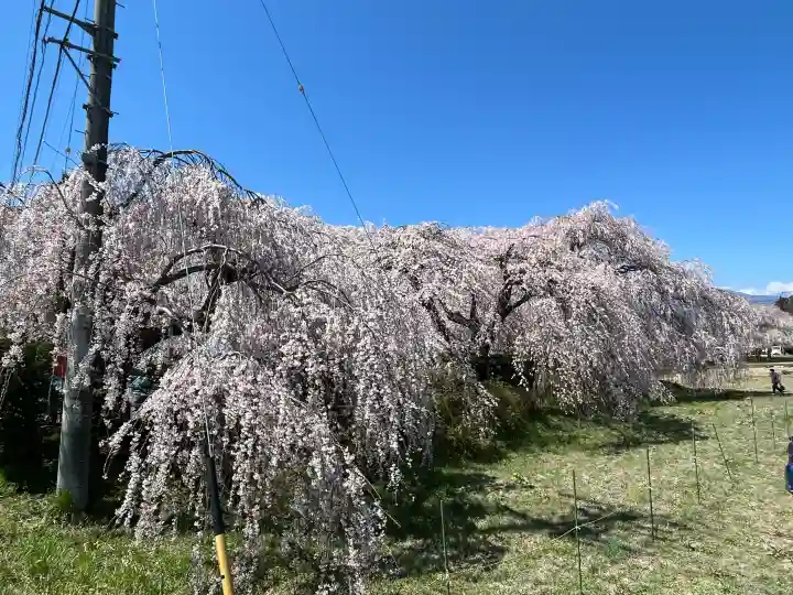 安養寺の{uncategorized: "未分類", other: "その他", undefined: "問題あり", building: "その他建物", grave: "お墓", sacred_gate: "鳥居", guardian: "狛犬", statue: "像", buddha: "仏像", history: "歴史", nature: "自然", garden: "庭園", animal: "動物", pagoda: "塔", temizu: "手水舎", mountain_gate: "山門・神門", sanctuary: "本殿・本堂", subordinate: "末社・摂社", art: "芸術", scenery: "景色", jizo: "地蔵", ema: "絵馬", goshuin: "御朱印", omikuji: "おみくじ", items: "授与品その他", amulet: "お守り", goshuincho: "御朱印帳", eats: "食事", festival: "お祭り", votive_dance: "神楽", shichigosan: "七五三参", wedding: "結婚式", experience: "体験その他", initially: "初詣", around: "周辺", anti_infection: "感染症対策"}