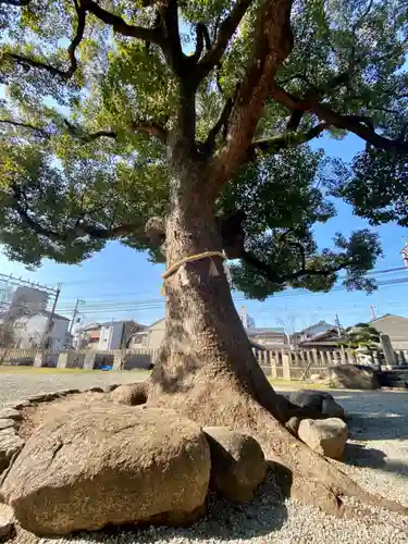 止止呂支比売命神社(大阪府)
