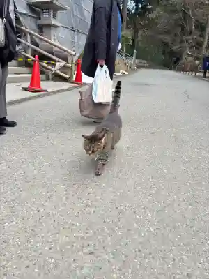 中尊寺の{uncategorized: "未分類", other: "その他", undefined: "問題あり", building: "その他建物", grave: "お墓", sacred_gate: "鳥居", guardian: "狛犬", statue: "像", buddha: "仏像", history: "歴史", nature: "自然", garden: "庭園", animal: "動物", pagoda: "塔", temizu: "手水舎", mountain_gate: "山門・神門", sanctuary: "本殿・本堂", subordinate: "末社・摂社", art: "芸術", scenery: "景色", jizo: "地蔵", ema: "絵馬", goshuin: "御朱印", omikuji: "おみくじ", items: "授与品その他", amulet: "お守り", goshuincho: "御朱印帳", eats: "食事", festival: "お祭り", votive_dance: "神楽", shichigosan: "七五三参", wedding: "結婚式", experience: "体験その他", initially: "初詣", around: "周辺", anti_infection: "感染症対策"}