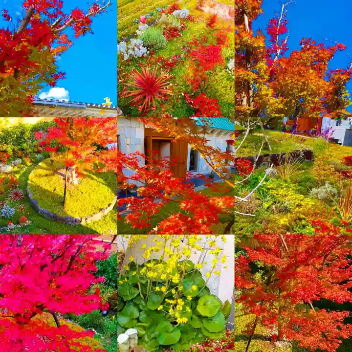 寿量山 速成寺の自然