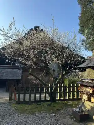 出雲大社の{uncategorized: "未分類", other: "その他", undefined: "問題あり", building: "その他建物", grave: "お墓", sacred_gate: "鳥居", guardian: "狛犬", statue: "像", buddha: "仏像", history: "歴史", nature: "自然", garden: "庭園", animal: "動物", pagoda: "塔", temizu: "手水舎", mountain_gate: "山門・神門", sanctuary: "本殿・本堂", subordinate: "末社・摂社", art: "芸術", scenery: "景色", jizo: "地蔵", ema: "絵馬", goshuin: "御朱印", omikuji: "おみくじ", items: "授与品その他", amulet: "お守り", goshuincho: "御朱印帳", eats: "食事", festival: "お祭り", votive_dance: "神楽", shichigosan: "七五三参", wedding: "結婚式", experience: "体験その他", initially: "初詣", around: "周辺", anti_infection: "感染症対策"}