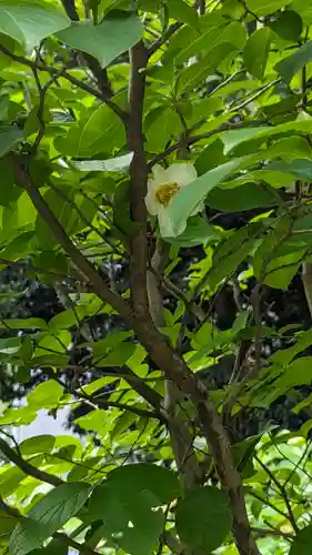  智積院(京都府)