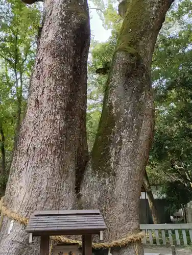 伊弉諾神宮(兵庫県)