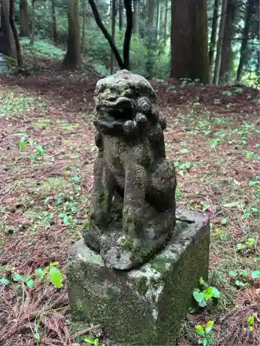 熊ノ木箒根神社の狛犬