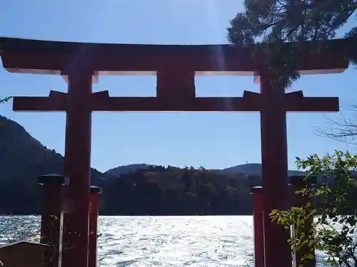 箱根神社の鳥居