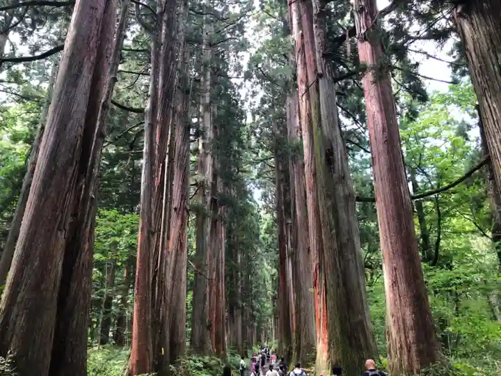 戸隠神社奥社(長野県)