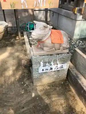 赤穂大石神社の狛犬