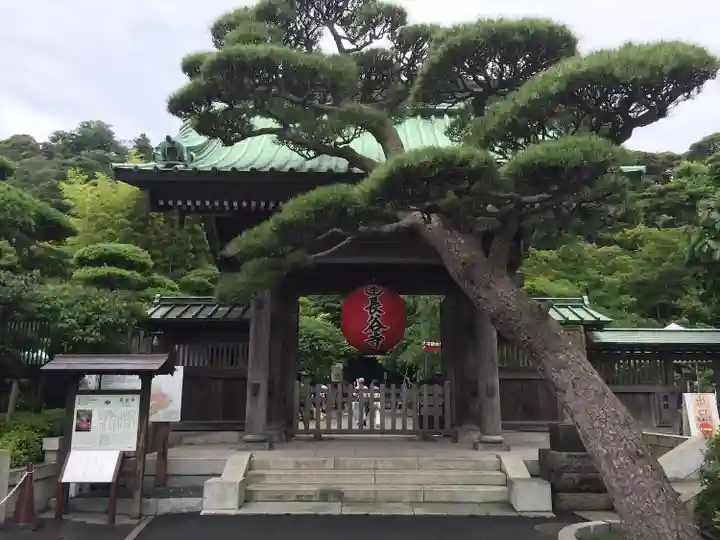 長谷寺の山門・神門