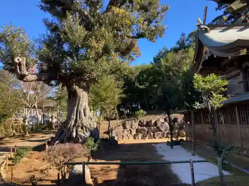 埴生神社(千葉県)
