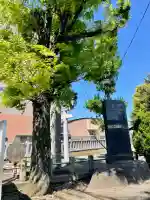 大戸神社の{uncategorized: "未分類", other: "その他", undefined: "問題あり", building: "その他建物", grave: "お墓", sacred_gate: "鳥居", guardian: "狛犬", statue: "像", buddha: "仏像", history: "歴史", nature: "自然", garden: "庭園", animal: "動物", pagoda: "塔", temizu: "手水舎", mountain_gate: "山門・神門", sanctuary: "本殿・本堂", subordinate: "末社・摂社", art: "芸術", scenery: "景色", jizo: "地蔵", ema: "絵馬", goshuin: "御朱印", omikuji: "おみくじ", items: "授与品その他", amulet: "お守り", goshuincho: "御朱印帳", eats: "食事", festival: "お祭り", votive_dance: "神楽", shichigosan: "七五三参", wedding: "結婚式", experience: "体験その他", initially: "初詣", around: "周辺", anti_infection: "感染症対策"}