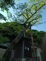 宝勝寺(神奈川県)