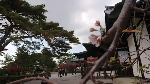 法隆寺のその他建物