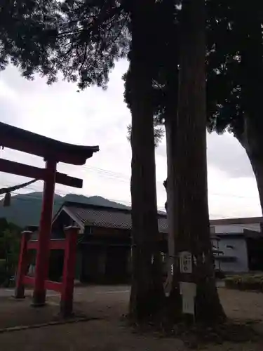 戸隠神社(岐阜県)