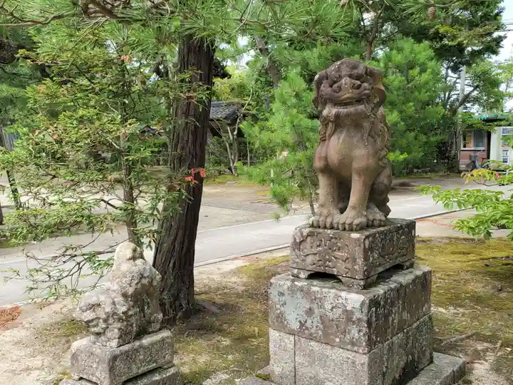 智恩寺の狛犬