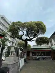 金刀比羅大鷲神社(神奈川県)