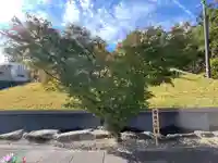 伊勢の国 四天王寺(三重県)