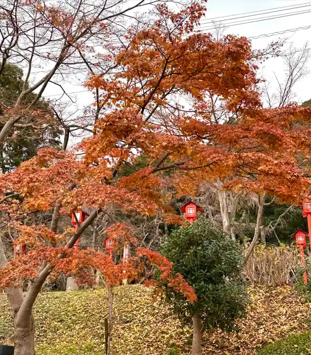 足立山妙見宮(御祖神社)の自然