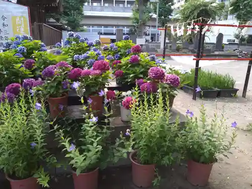 磐井神社の自然