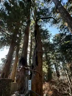 玉置神社(奈良県)