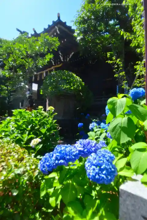 白山神社(東京都)
