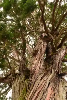 城上神社(島根県)
