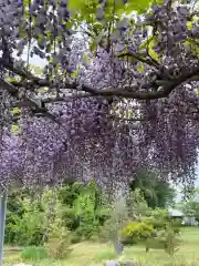 大生郷天満宮(茨城県)