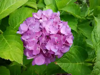 西野神社(北海道)