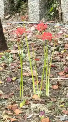 平野神社(京都府)