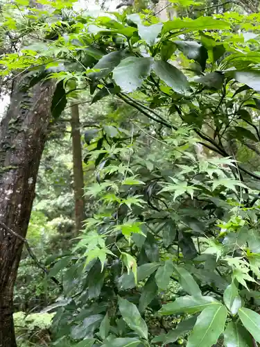秩父御嶽神社(埼玉県)
