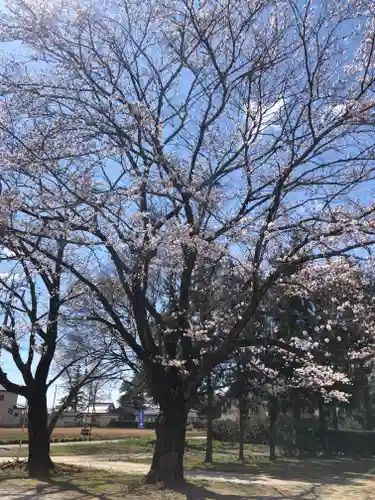 伏木香取神社の景色