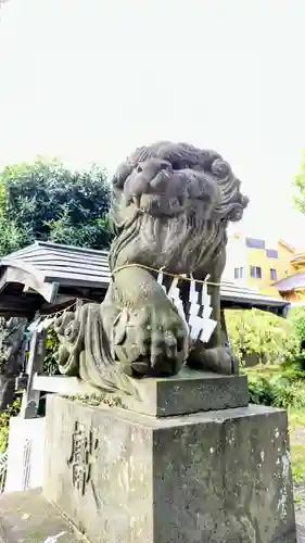 鳩ヶ谷氷川神社の狛犬