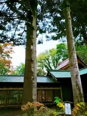 琴似神社のその他建物