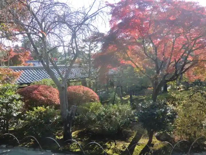 天龍寺(京都府)