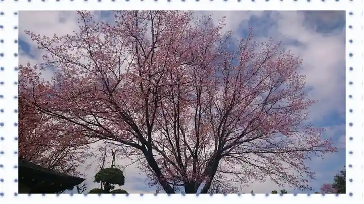 密藏院(埼玉県)