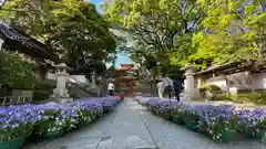 防府天満宮の建物その他