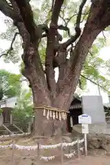 艮神社(広島県)