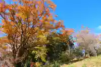 阿久津「田村神社」(郡山市阿久津町)旧社名:伊豆箱根三嶋三社の景色