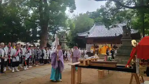 日招八幡大神社(愛媛県)